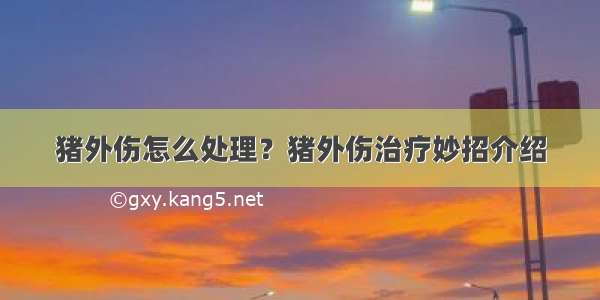 猪外伤怎么处理？猪外伤治疗妙招介绍