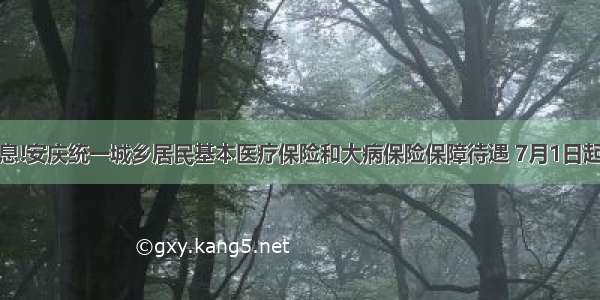 好消息!安庆统一城乡居民基本医疗保险和大病保险保障待遇 7月1日起施行