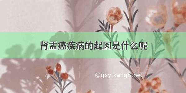 肾盂癌疾病的起因是什么呢