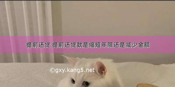 提前还贷 提前还贷款是缩短年限还是减少金额