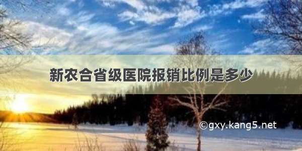 新农合省级医院报销比例是多少