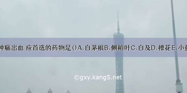 治疗痔疮肿痛出血 应首选的药物是()A.白茅根B.侧柏叶C.白及D.槐花E.小蓟ABCDE