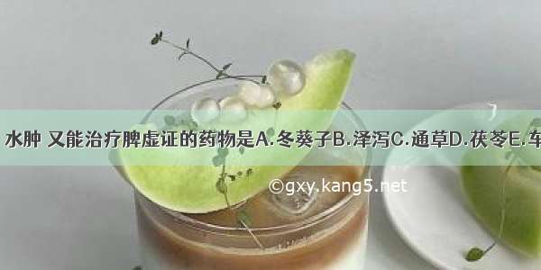 既能治疗痰饮 水肿 又能治疗脾虚证的药物是A.冬葵子B.泽泻C.通草D.茯苓E.车前子ABCDE