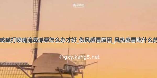 咳嗽打喷嚏流鼻涕要怎么办才好_伤风感冒原因_风热感冒吃什么药