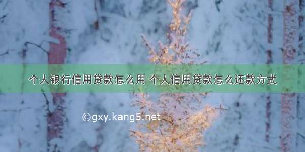 个人银行信用贷款怎么用 个人信用贷款怎么还款方式