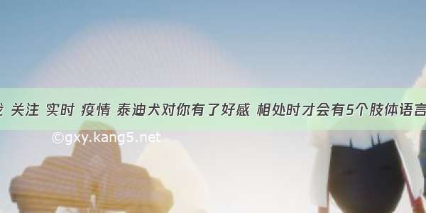 刷新 翻看 我 关注 实时 疫情 泰迪犬对你有了好感 相处时才会有5个肢体语言 别傻傻不懂