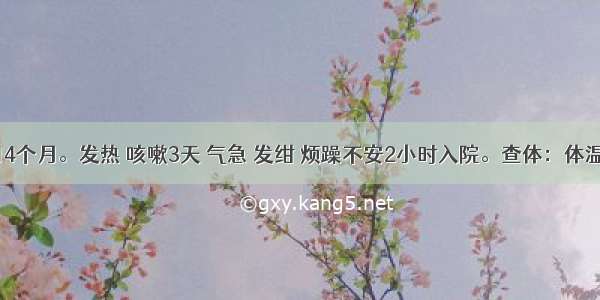 患儿男 14个月。发热 咳嗽3天 气急 发绀 烦躁不安2小时入院。查体：体温39.5℃ 