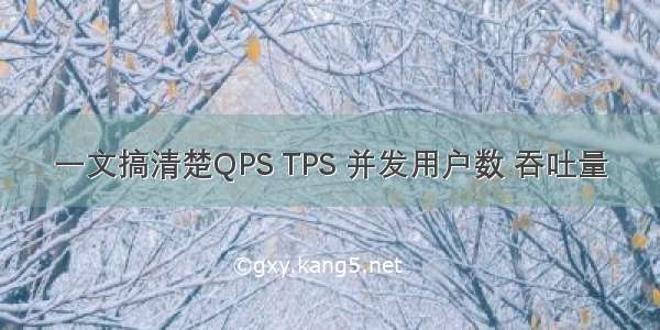 一文搞清楚QPS TPS 并发用户数 吞吐量