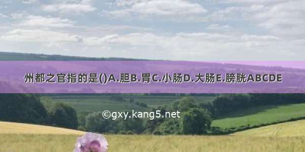 州都之官指的是()A.胆B.胃C.小肠D.大肠E.膀胱ABCDE