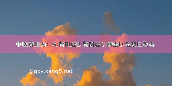 中医辨证为：A.肾阳虚B.肾阴虚C.脾虚D.湿热E.热毒