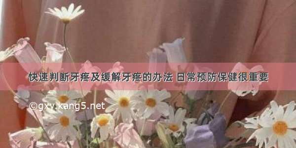 快速判断牙疼及缓解牙疼的办法 日常预防保健很重要