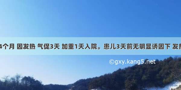 患儿 男 4个月 因发热 气促3天 加重1天入院。患儿3天前无明显诱因下 发热39.5℃