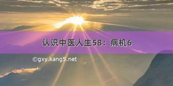 认识中医人生58：病机6