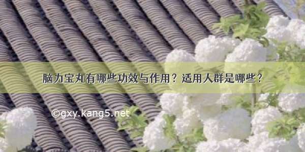 脑力宝丸有哪些功效与作用？适用人群是哪些？