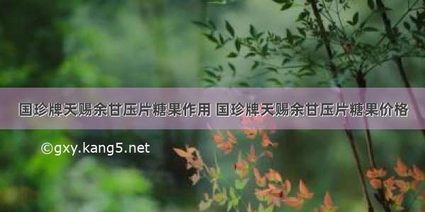 国珍牌天赐余甘压片糖果作用 国珍牌天赐余甘压片糖果价格