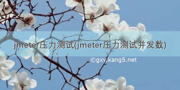 jmeter压力测试(jmeter压力测试并发数)