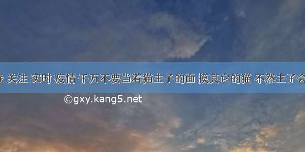 刷新 翻看 我 关注 实时 疫情 千万不要当着猫主子的面 摸其它的猫 不然主子会“吃醋”的