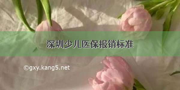 深圳少儿医保报销标准