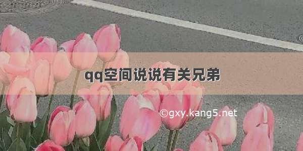 qq空间说说有关兄弟