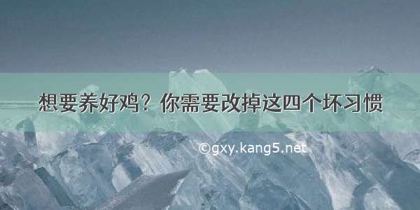 想要养好鸡？你需要改掉这四个坏习惯