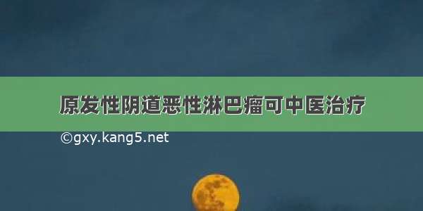 原发性阴道恶性淋巴瘤可中医治疗