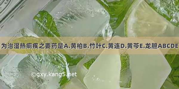 为治湿热痢疾之要药是A.黄柏B.竹叶C.黄连D.黄芩E.龙胆ABCDE