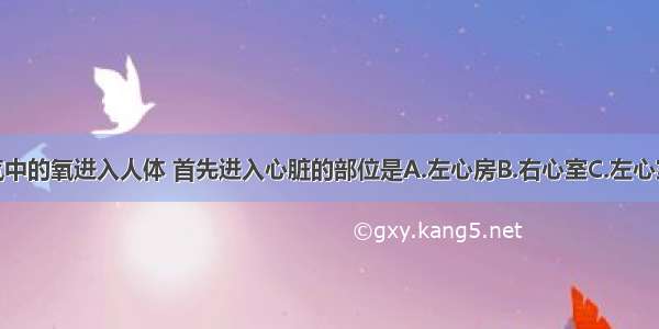 单选题空气中的氧进入人体 首先进入心脏的部位是A.左心房B.右心室C.左心室D.右心房