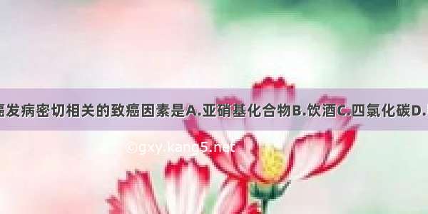 与原发性肝癌发病密切相关的致癌因素是A.亚硝基化合物B.饮酒C.四氯化碳D.甲基多巴E.黄