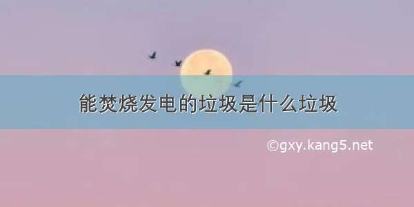 能焚烧发电的垃圾是什么垃圾