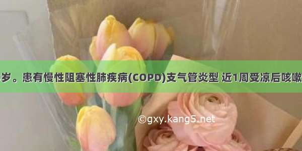 患者女 50岁。患有慢性阻塞性肺疾病(COPD)支气管炎型 近1周受凉后咳嗽 气急加重 