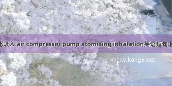 气泵雾化吸入 air compressor pump atomizing inhalation英语短句 例句大全