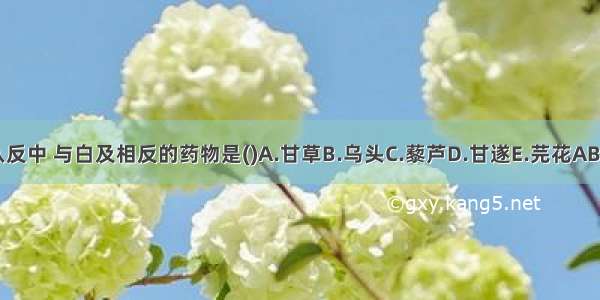 十八反中 与白及相反的药物是()A.甘草B.乌头C.藜芦D.甘遂E.芫花ABCDE