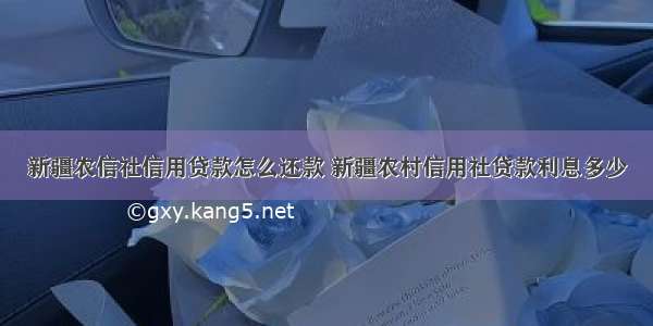 新疆农信社信用贷款怎么还款 新疆农村信用社贷款利息多少