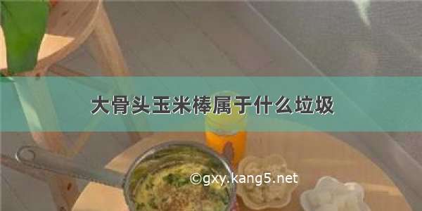 大骨头玉米棒属于什么垃圾