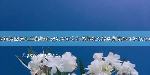 该患者血压低的原因是A.血容量不足B.合并右心室梗死C.舒张期充盈不足D.心源性休克E.疼