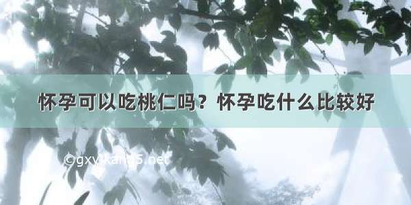 怀孕可以吃桃仁吗？怀孕吃什么比较好