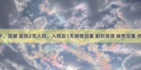 患儿 2岁。咳嗽 发热2天入院。入院后1天病情加重 剧烈哭闹 喘憋加重 烦躁不安 