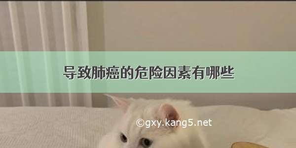 导致肺癌的危险因素有哪些