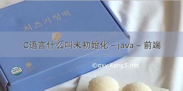 C语言什么叫未初始化 – java – 前端