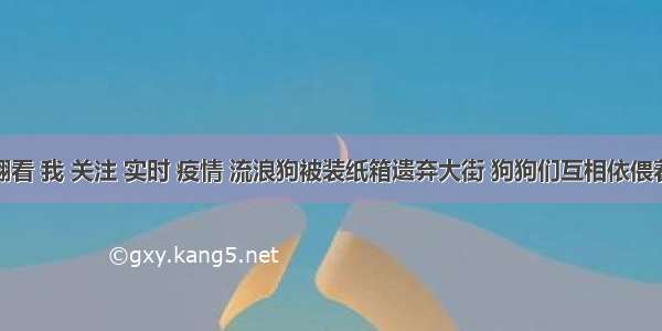 刷新 翻看 我 关注 实时 疫情 流浪狗被装纸箱遗弃大街 狗狗们互相依偎着取暖 