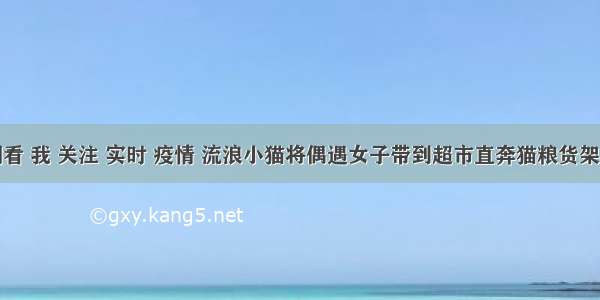 刷新 翻看 我 关注 实时 疫情 流浪小猫将偶遇女子带到超市直奔猫粮货架 女子十