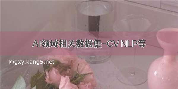 AI领域相关数据集-CV NLP等