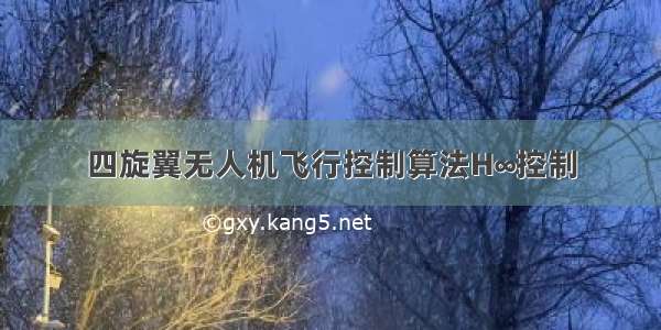 四旋翼无人机飞行控制算法H∞控制