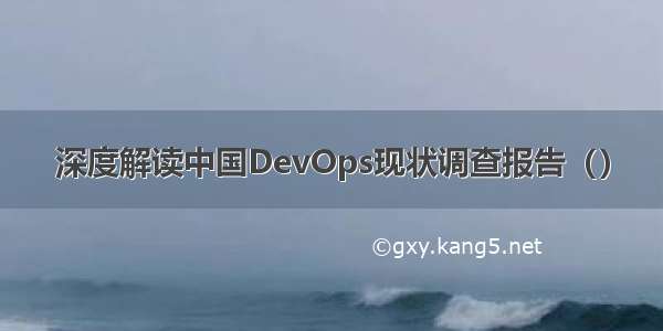 深度解读中国DevOps现状调查报告（）