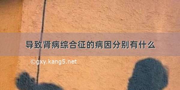 导致肾病综合征的病因分别有什么