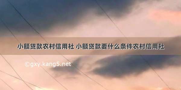 小额贷款农村信用社 小额贷款要什么条件农村信用社