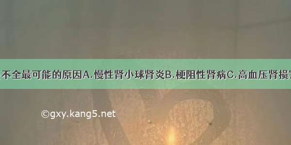 该患者肾功能不全最可能的原因A.慢性肾小球肾炎B.梗阻性肾病C.高血压肾损害D.间质性肾