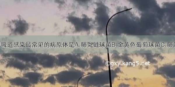 小儿急性上呼吸道感染最常见的病原体是A.肺炎链球菌B.金黄色葡萄球菌C.肺炎支原体D.病