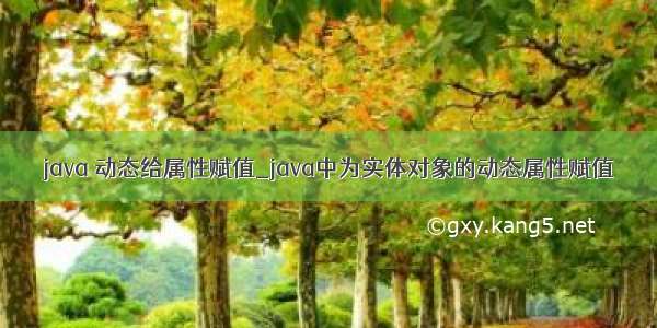 java 动态给属性赋值_java中为实体对象的动态属性赋值