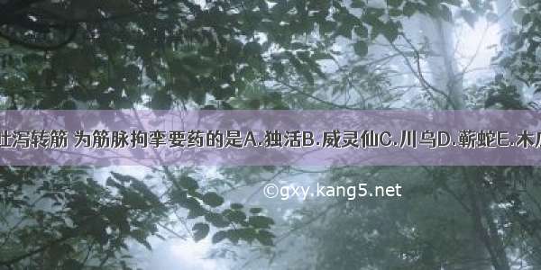 以下治疗吐泻转筋 为筋脉拘挛要药的是A.独活B.威灵仙C.川乌D.蕲蛇E.木瓜ABCDE